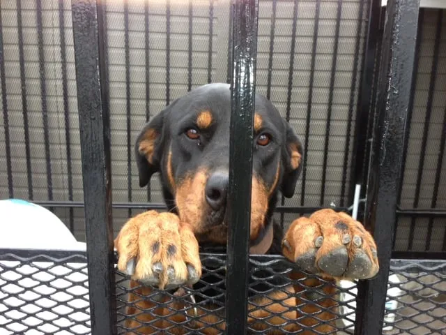 Slide of Connors Plumbing & Heating