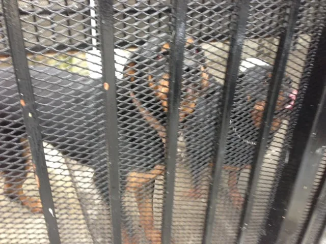 Slide of Connors Plumbing & Heating