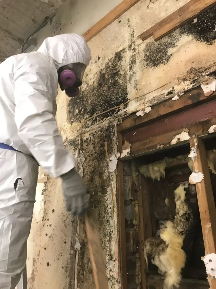 Slide of Consolidated Environmental