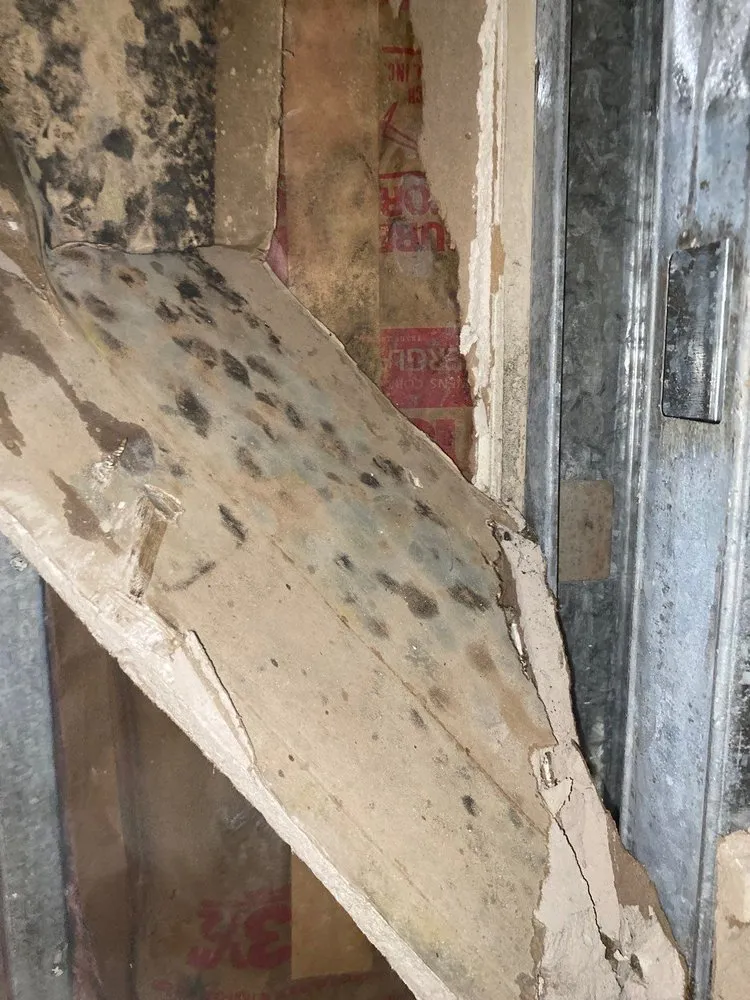 Slide of Consolidated Environmental