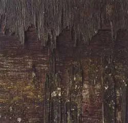 Slide of Consolidated Environmental