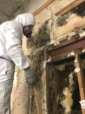 Consolidated Environmental