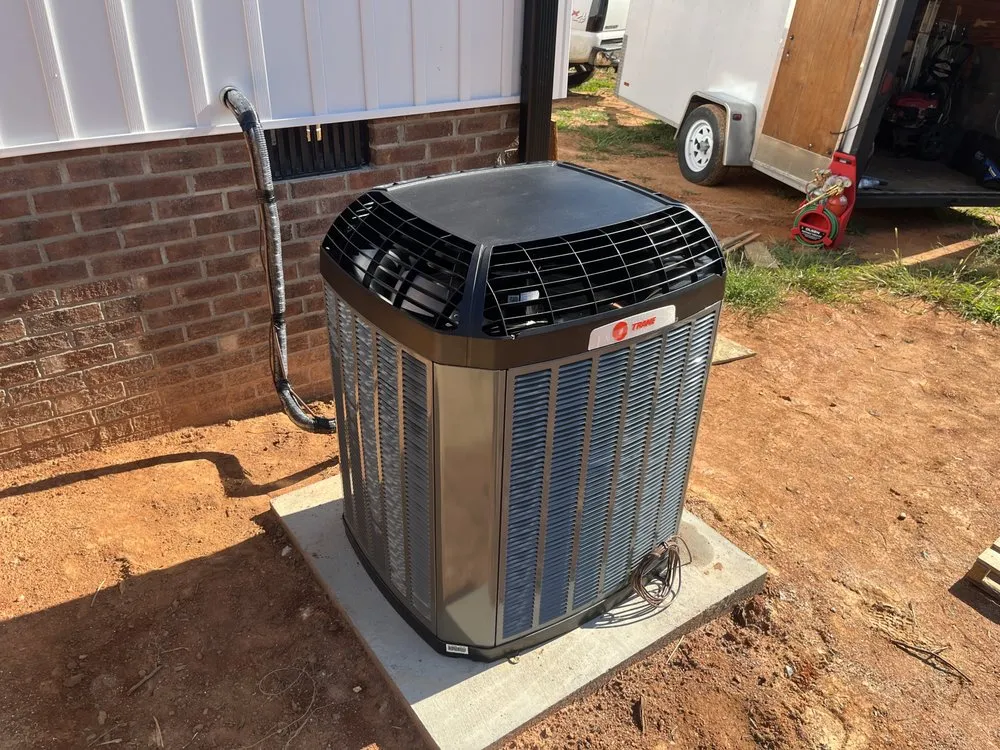 Slide of Cooke’s Customs