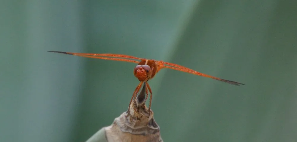 Slide of Cool & Cozy Heating & Air Conditioning