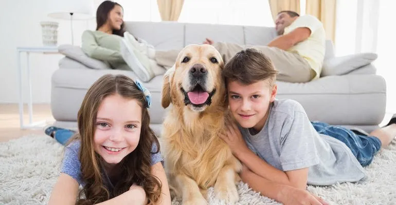 Slide of Cool Air Designs