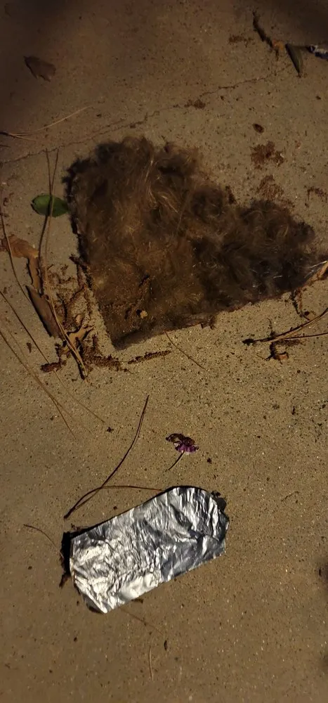 Slide of Cool Air For You