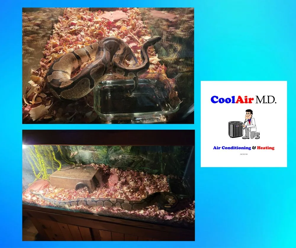 Slide of Cool Air M D