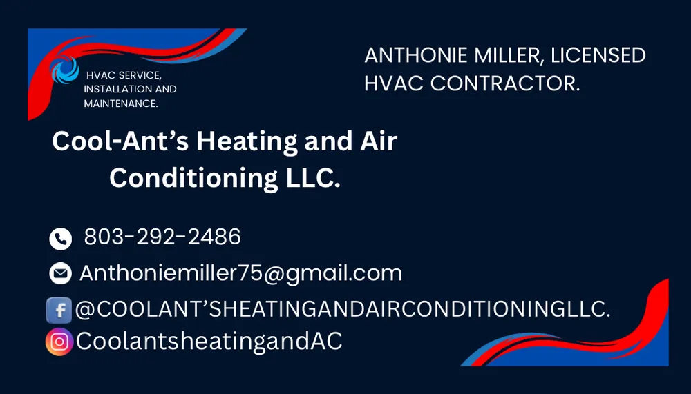 Slide of Cool Ant’s