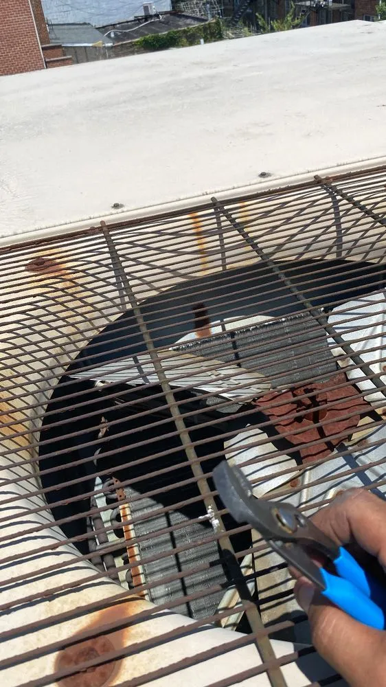 Slide of Cool Breeze