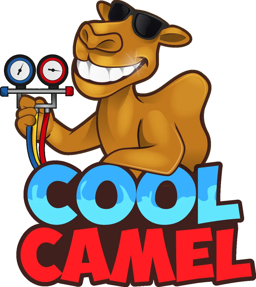 Slide of Cool Camel