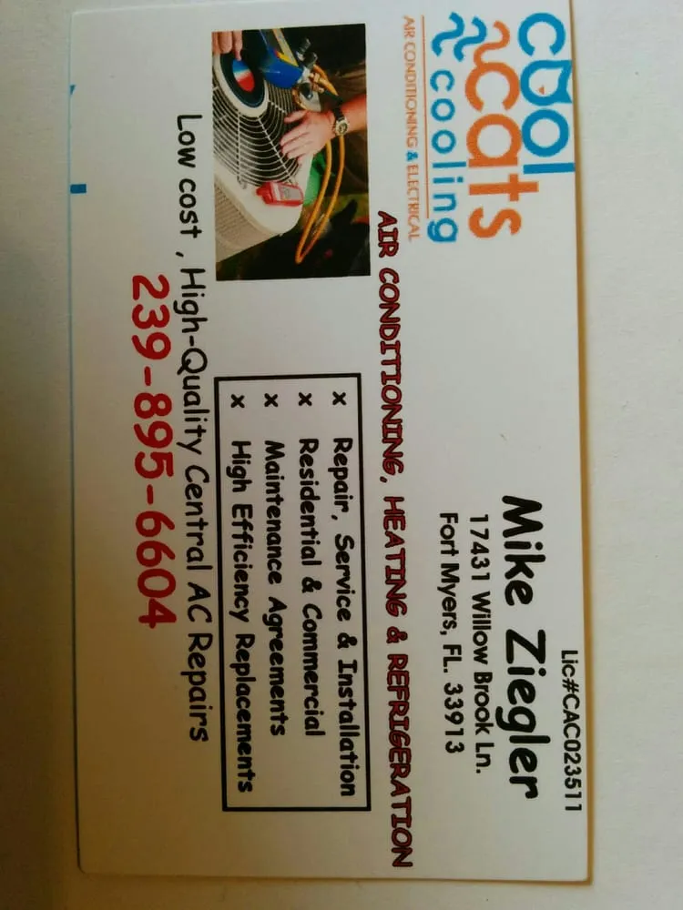 Slide of Cool Cats Cooling