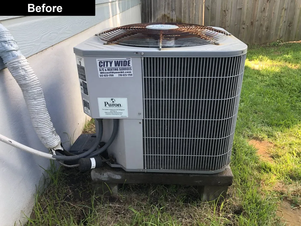 Slide of Cool Champs