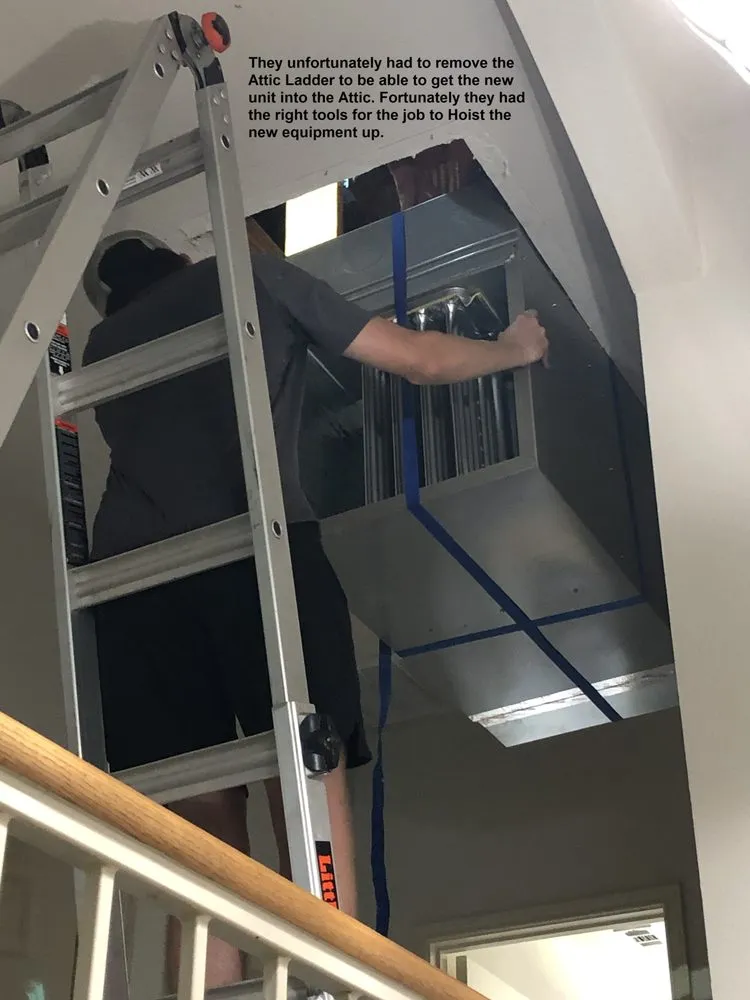 Slide of Cool Champs