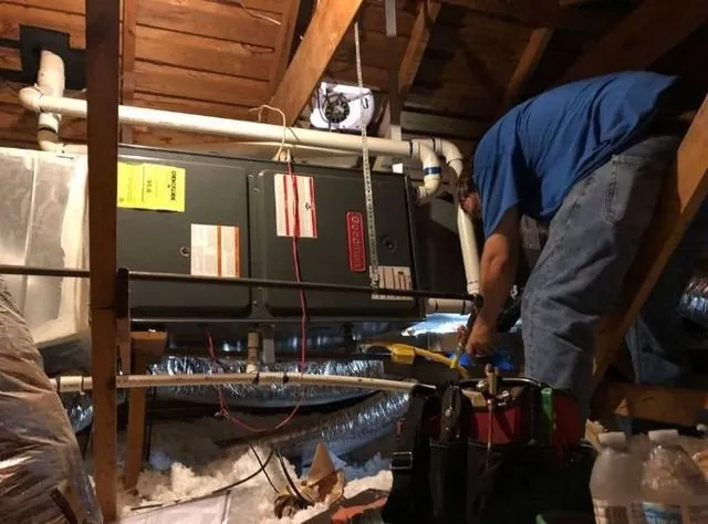 Slide of Cool Climate