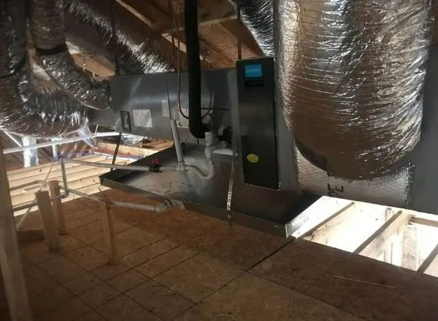 Slide of Cool Climate