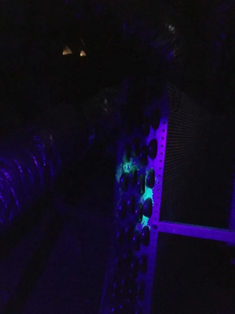 Slide of Cool Experts