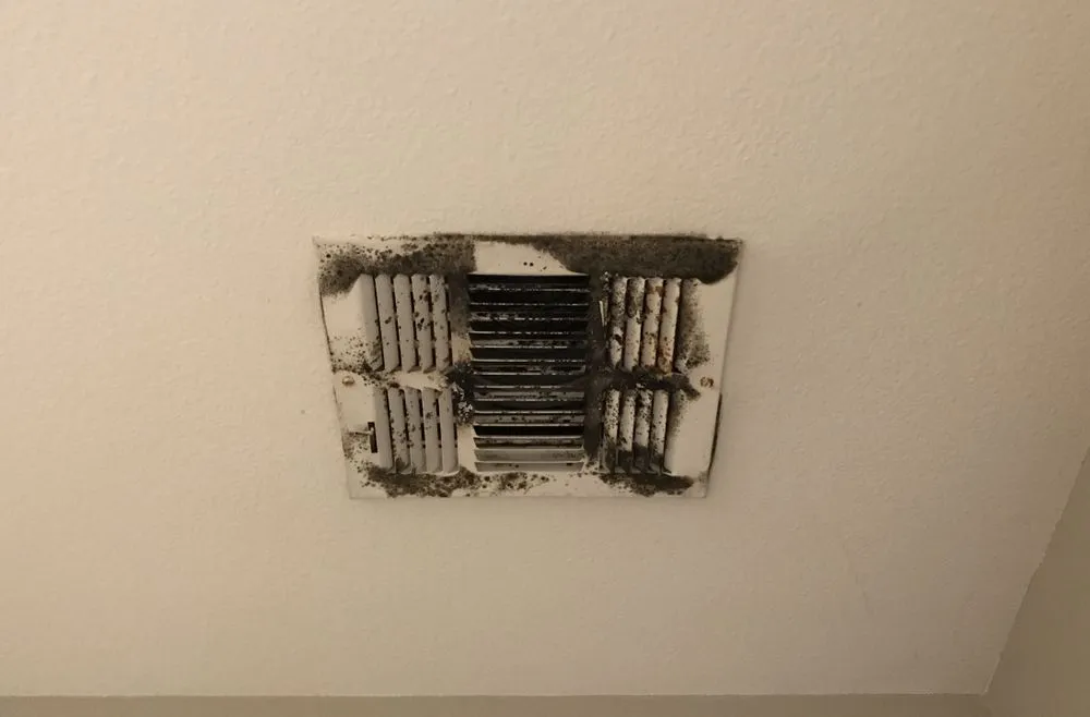 Slide of Cool Experts