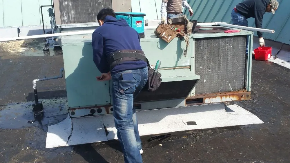 Slide of Cool Factory