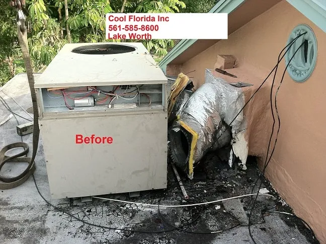 Slide of Cool Florida