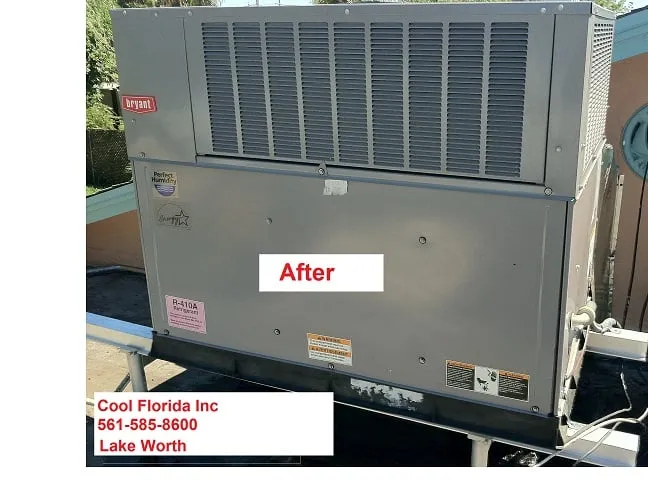 Slide of Cool Florida