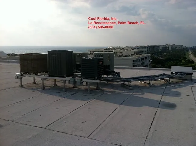 Slide of Cool Florida