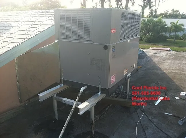 Slide of Cool Florida