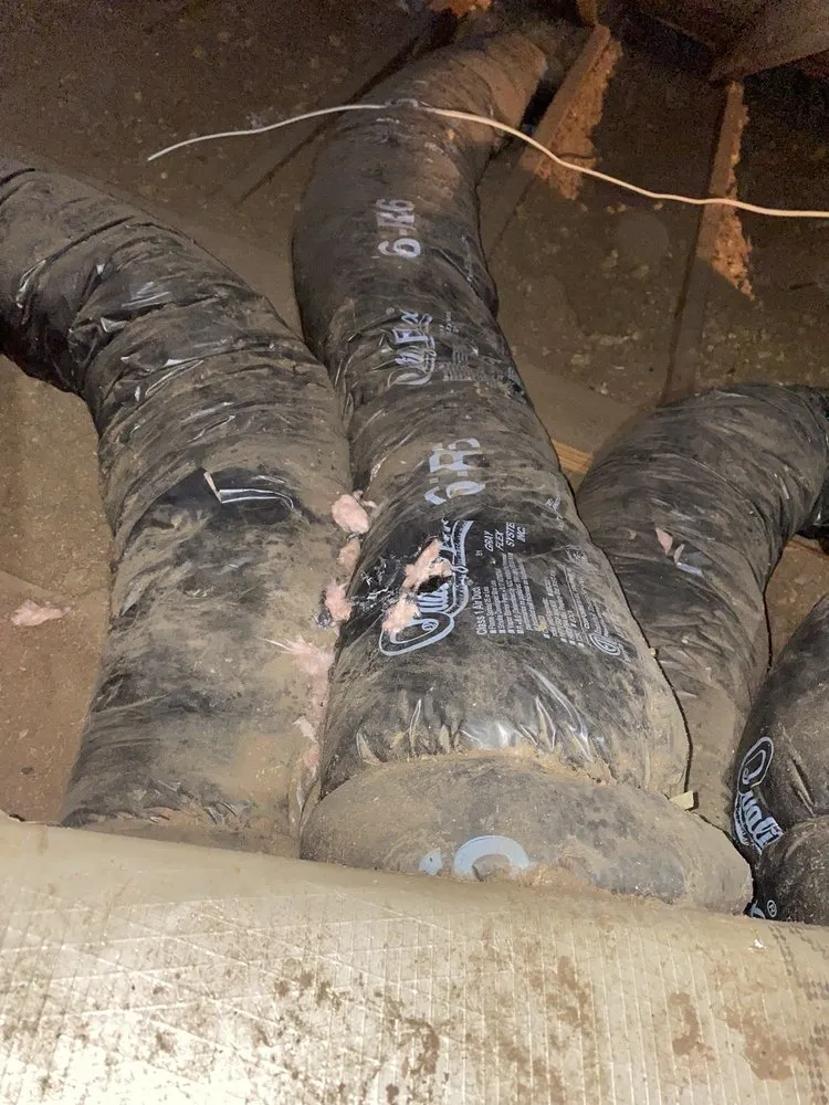 Slide of Cool Guy Ac Service