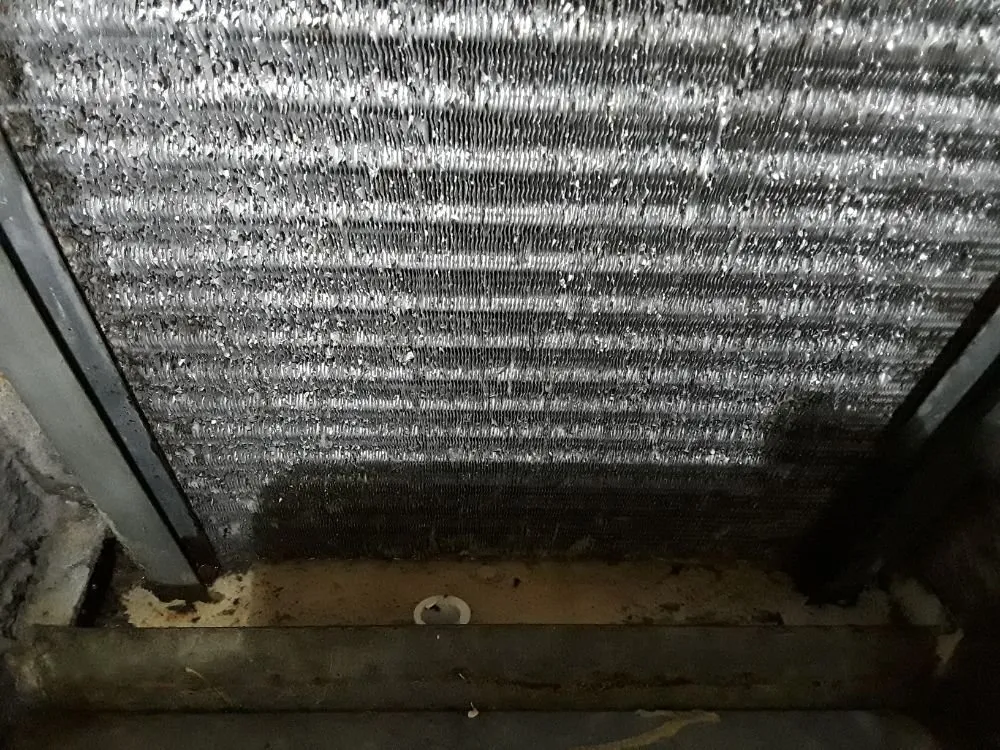 Slide of Cool-Laso Refrigeration