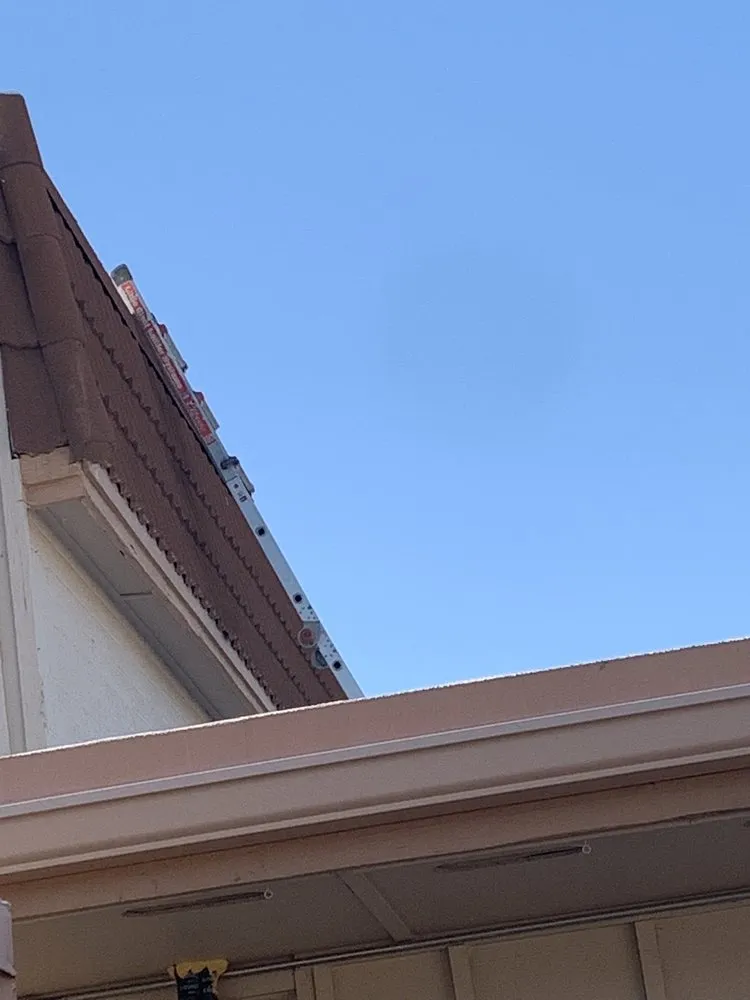 Slide of Cool N Arizona