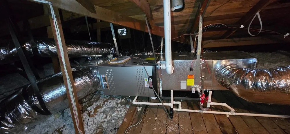 Slide of Cool Penguin