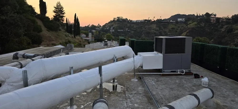 Slide of Cool Penguin