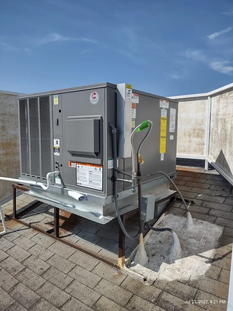 Slide of Cool Penguin