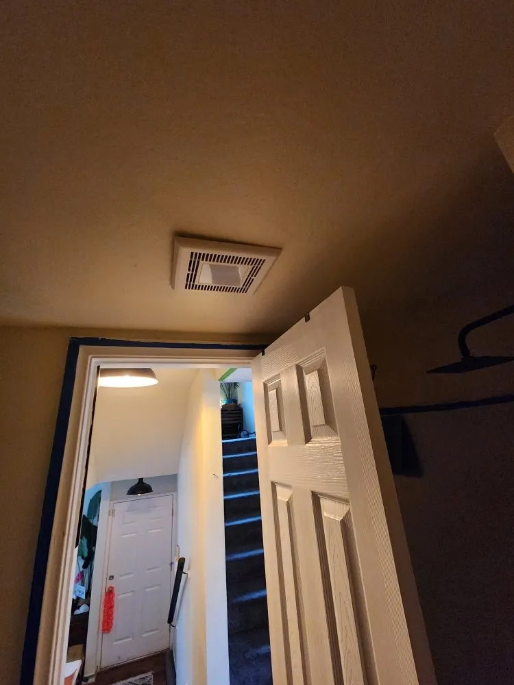 Slide of Cool Penguin