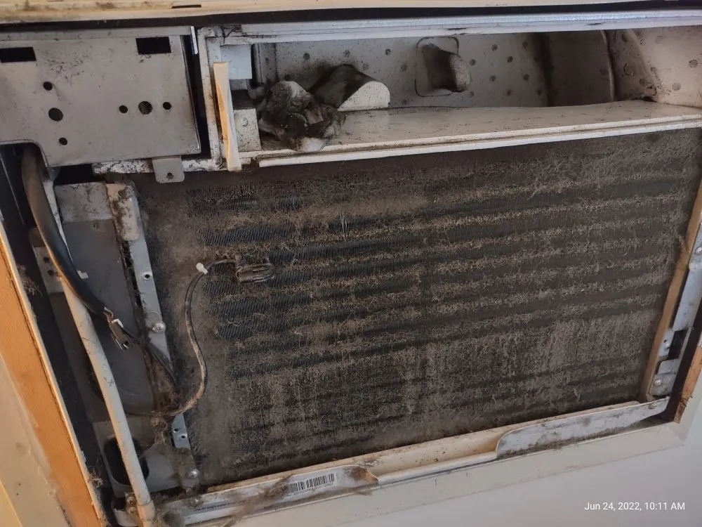 Slide of Cool Penguin