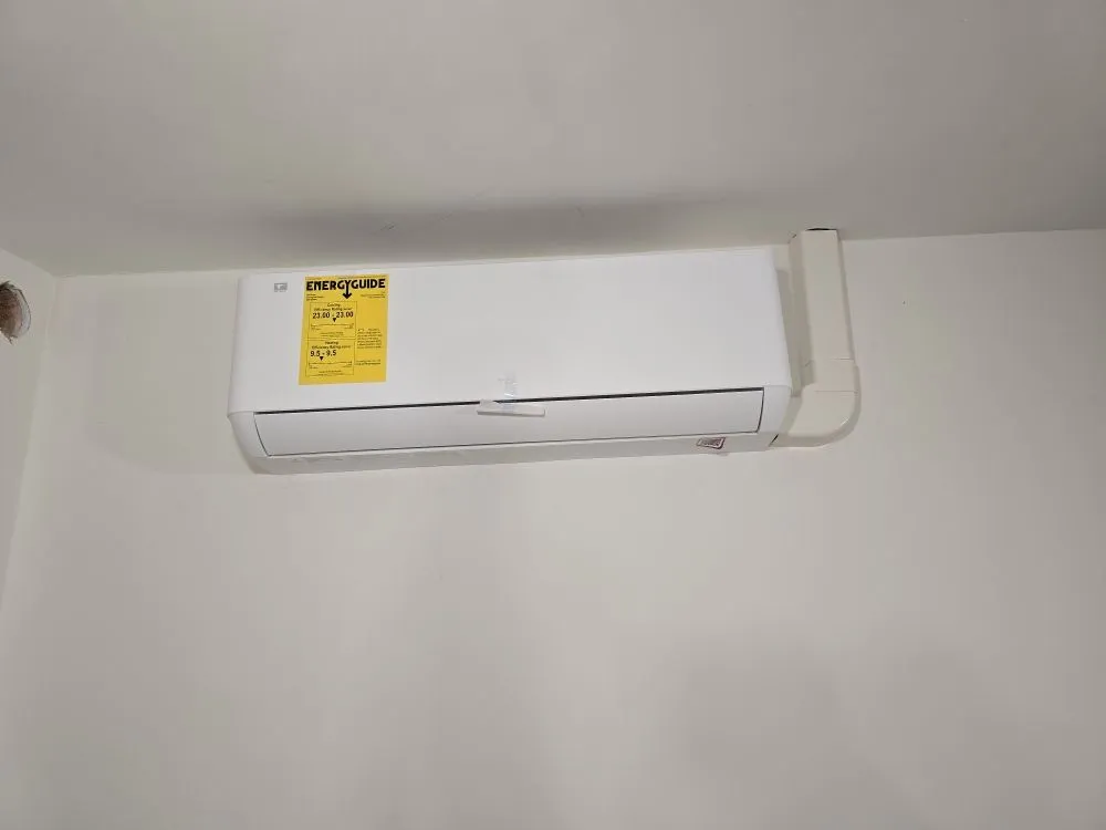 Slide of Cool Penguin