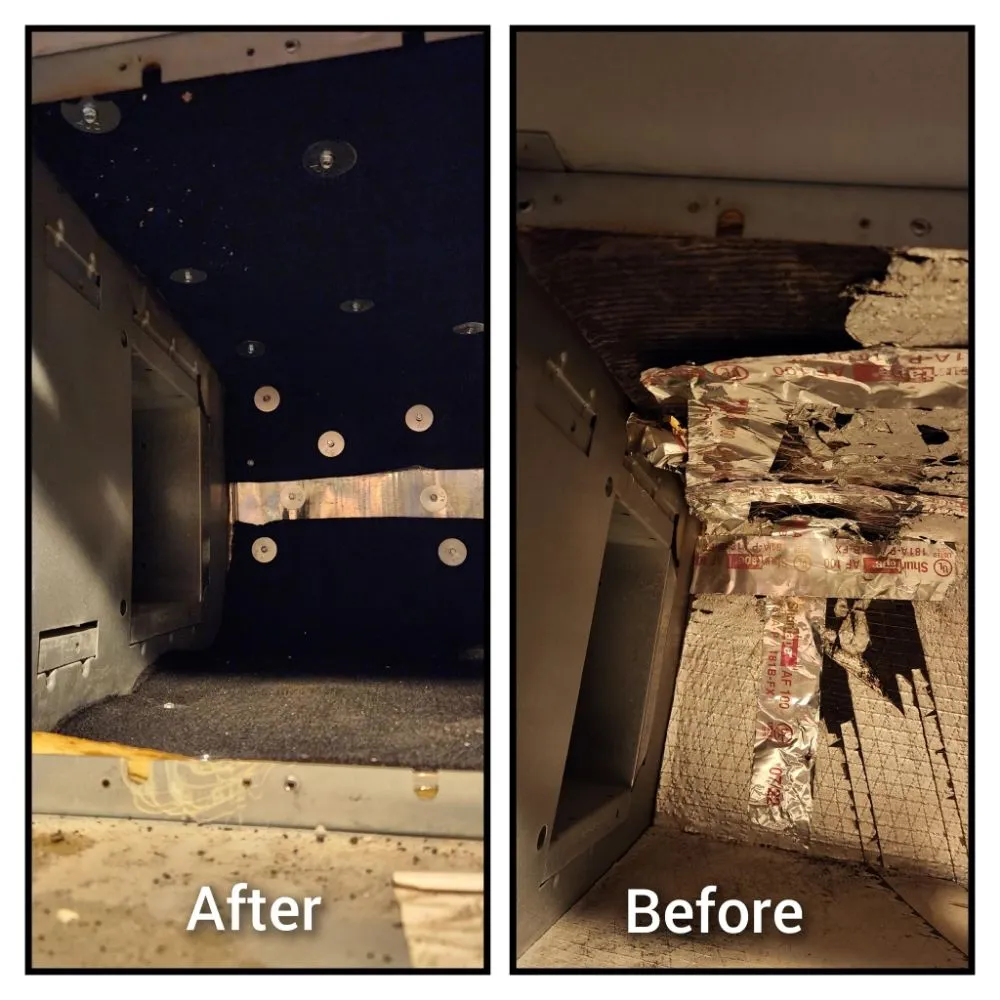 Slide of Cool Penguin