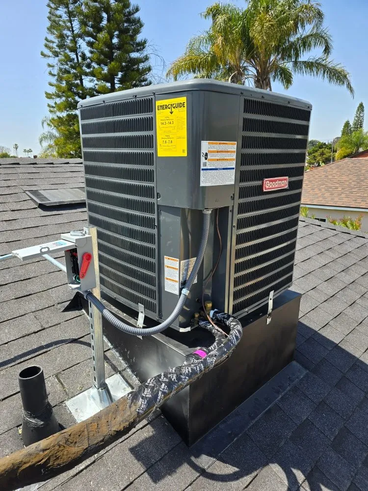 Slide of Cool Penguin