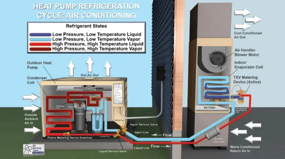 Slide of Cool Penguin