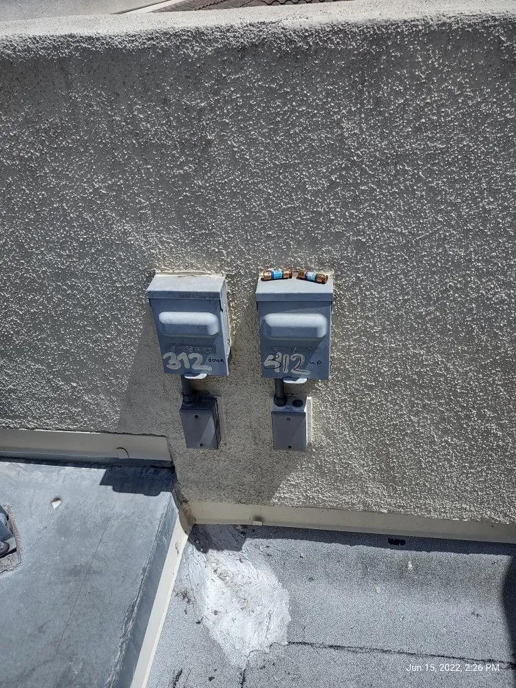 Slide of Cool Penguin