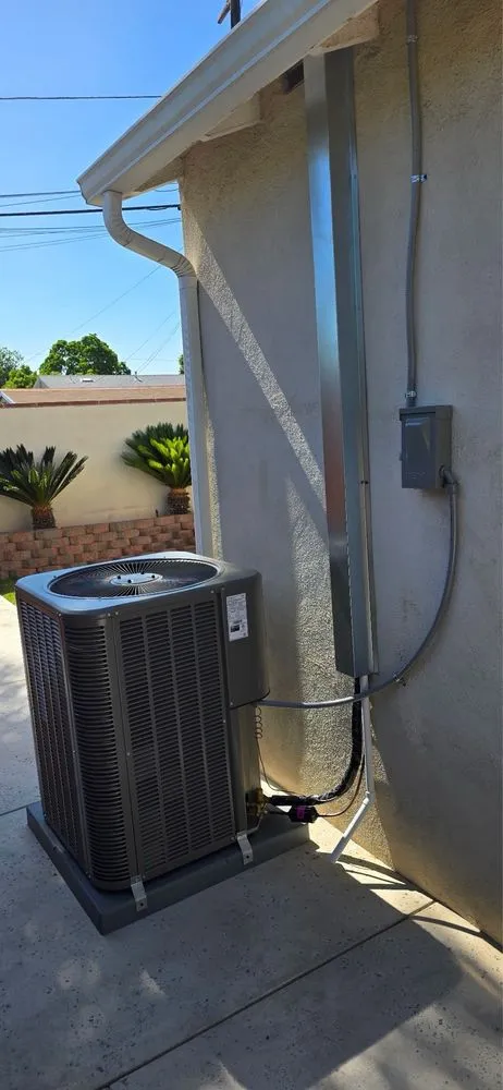 Slide of Cool Penguin