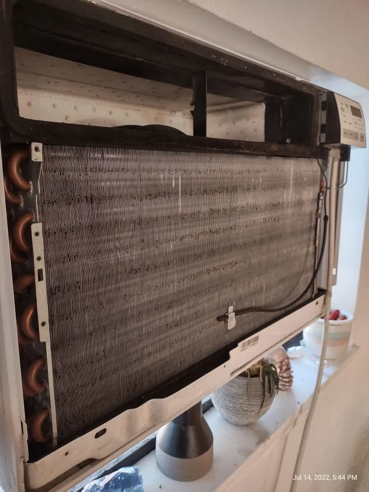 Slide of Cool Penguin