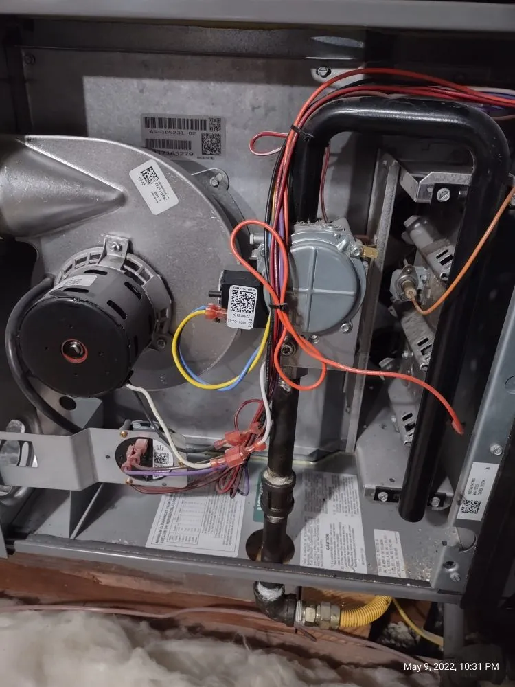 Slide of Cool Penguin