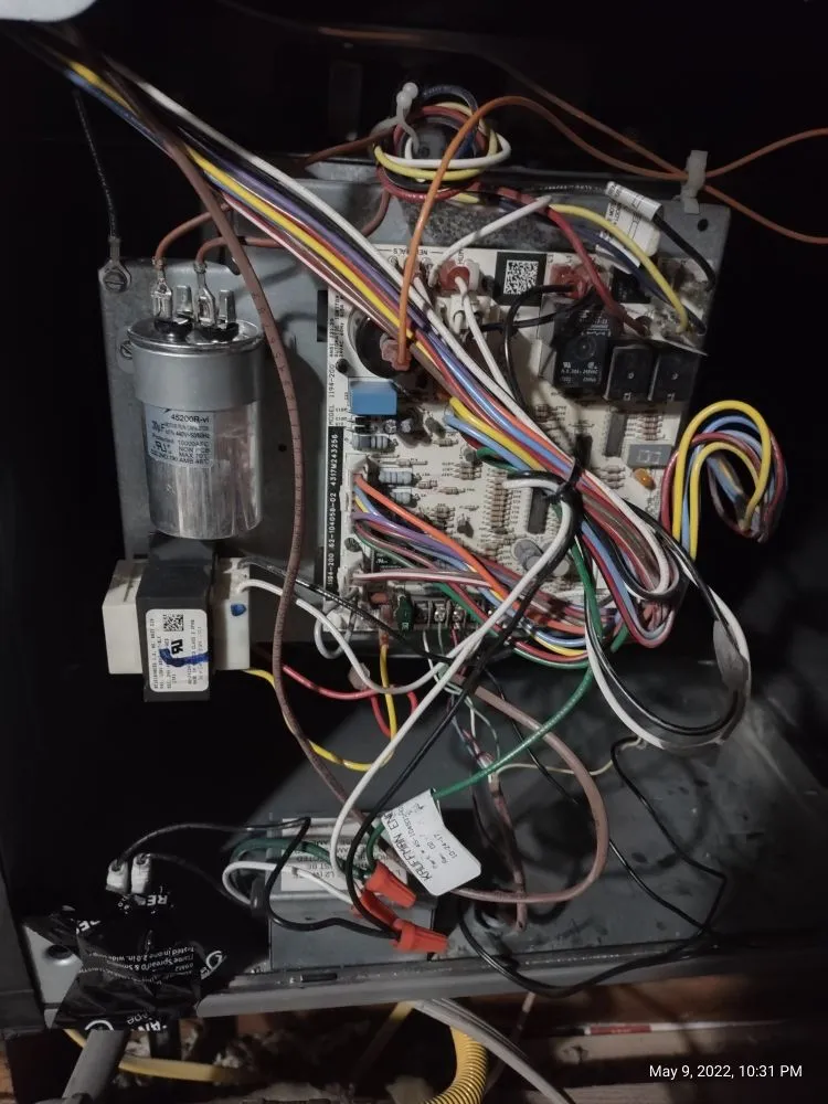 Slide of Cool Penguin