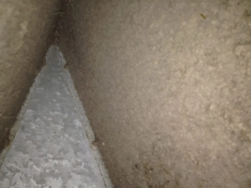 Slide of Cooler Tymes