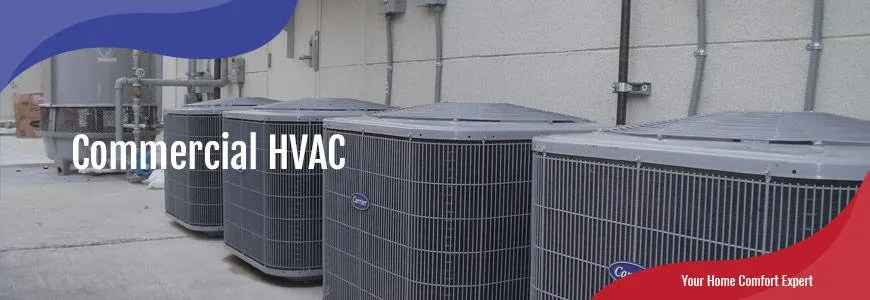 Slide of Cooley's Comfort