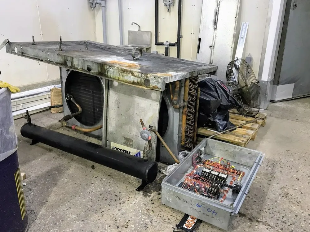 Slide of CoolFreezeNYC