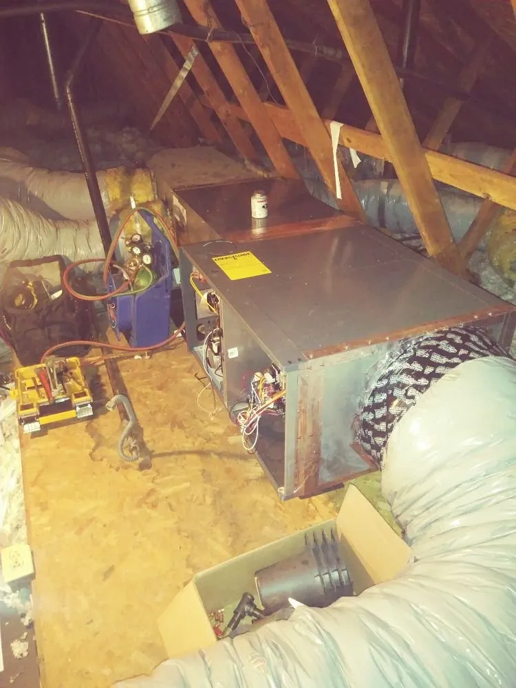 Slide of Coolifornia