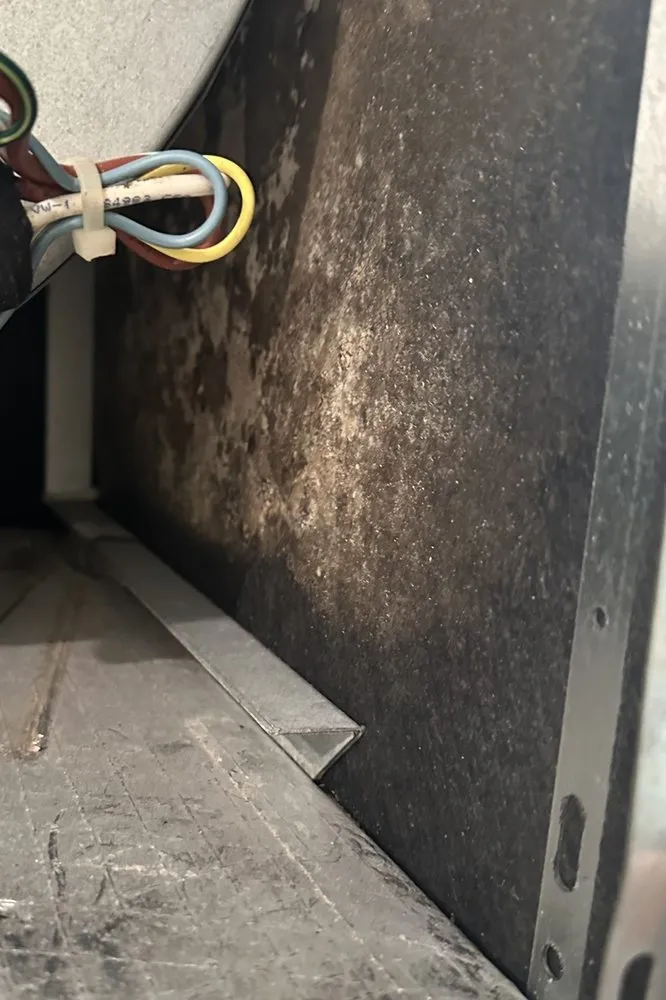 Slide of Cooling Advisors