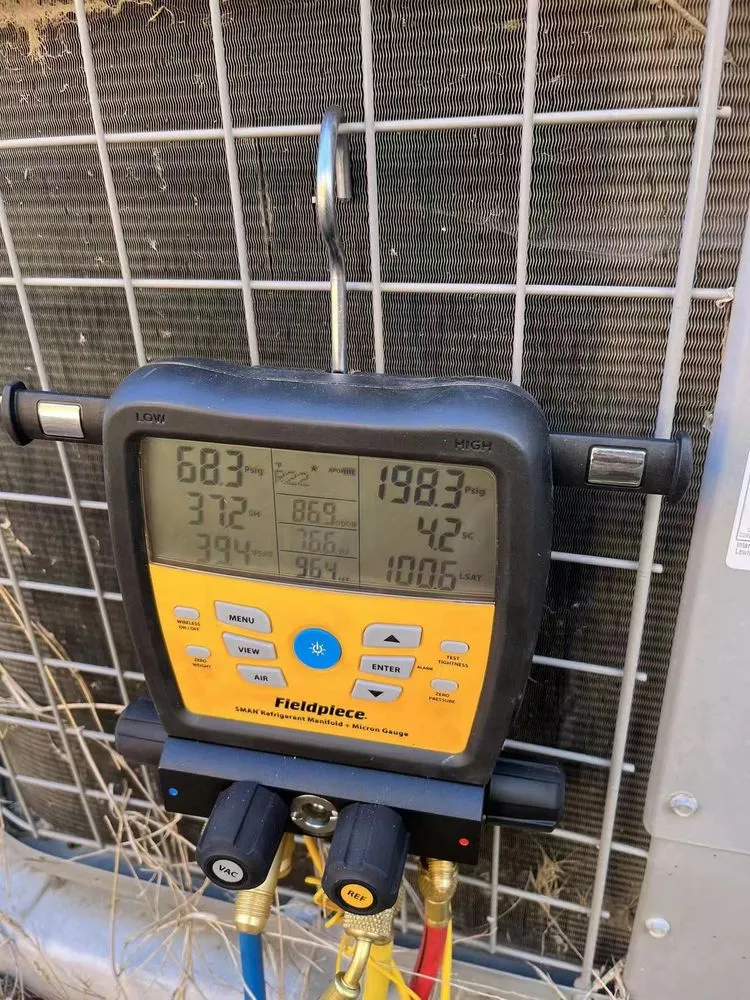 Slide of Cooling Bee