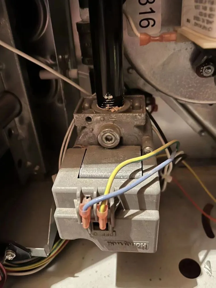 Slide of Cooling Bee